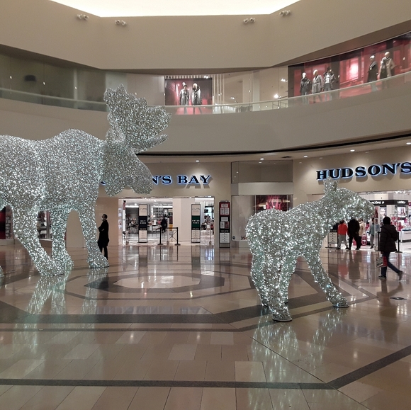 Meet your Posher, Kyle - Picture 2 of 11